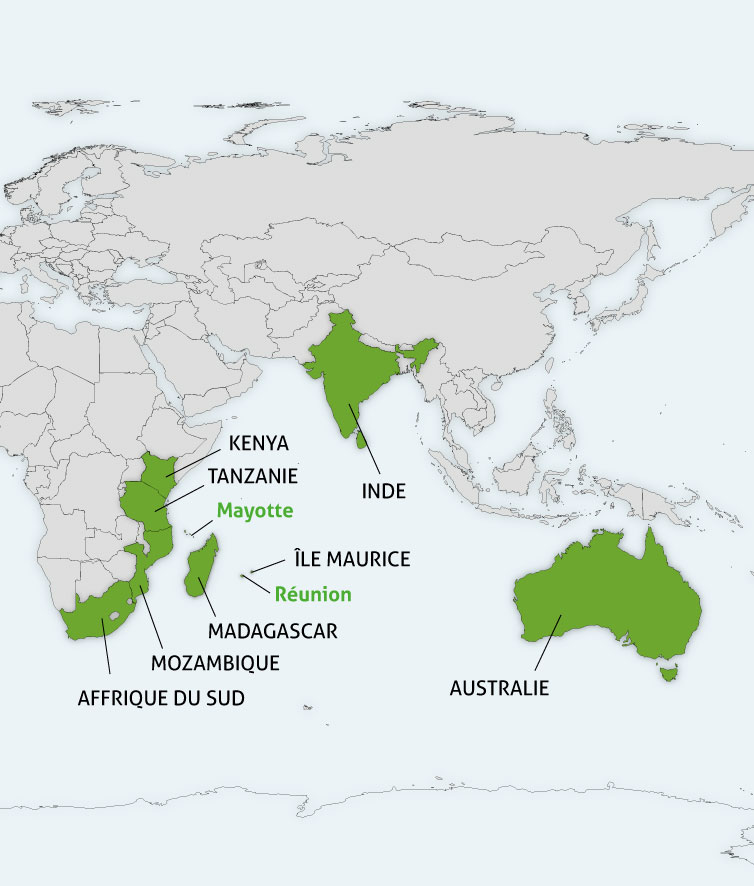 Programme Océan indien 2014-2020