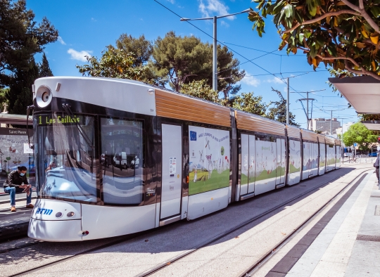 Le tramway de Marseille décoré aux couleurs du pacte vert