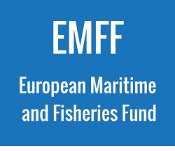 European Maritime and Fisheries Fund illustration
